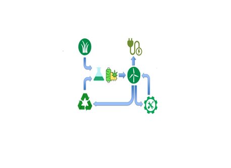 Forschungsprojekt EcoWiTu